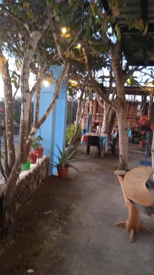 פוארטו בקריסו מורנו Hostal Cabanas Don Jorge מראה חיצוני תמונה